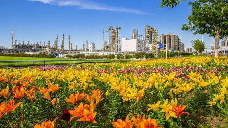 塑料分散剂：揭秘其重要性及选择要点