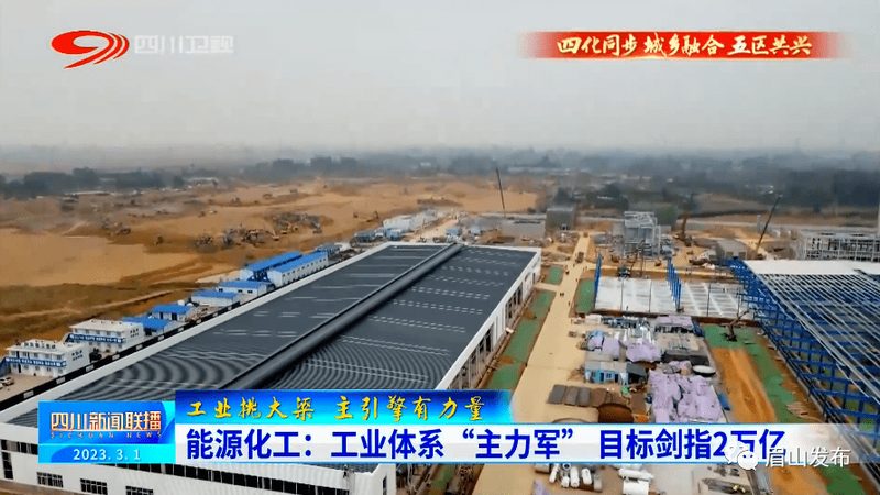 工业添加剂主要分为以下几类：